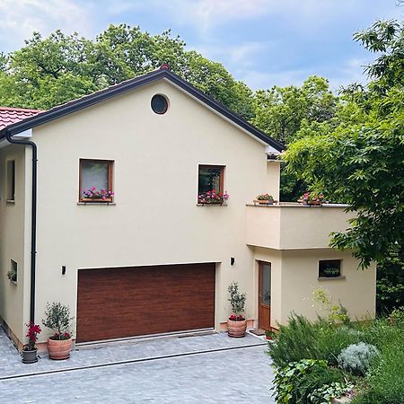 Apartment With A Terrace Forest Home Lullula Veprinac Εξωτερικό φωτογραφία